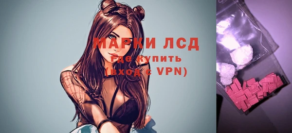 амф Инта