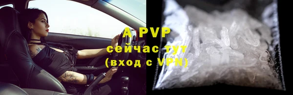 стафф Инсар