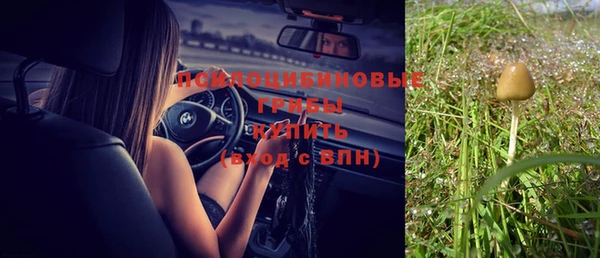 стафф Инсар