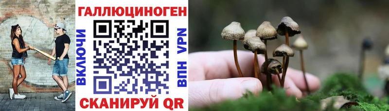 Галлюциногенные грибы мухоморы Купить Малгобек